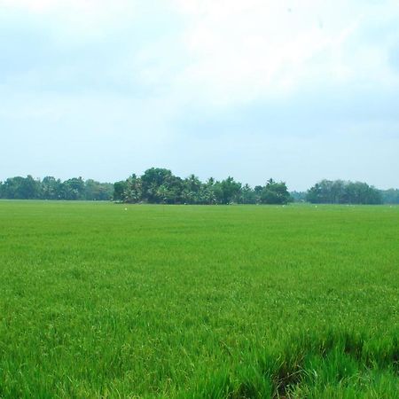 Triveny River Palace Hotel Alappuzha Bagian luar foto