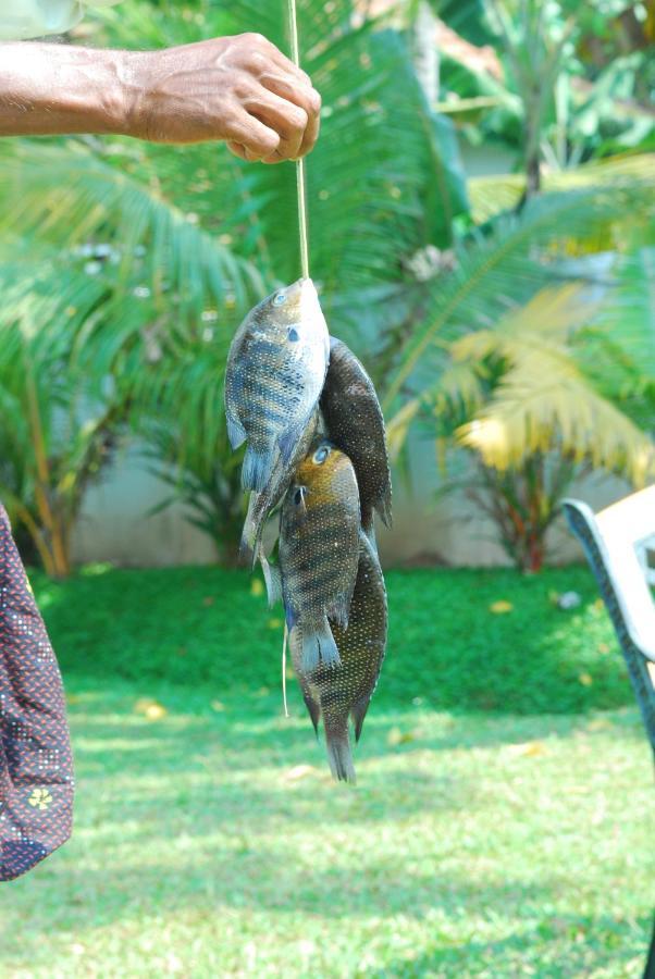 Triveny River Palace Hotel Alappuzha Bagian luar foto